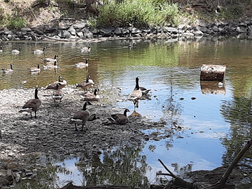 Golf Course «Overland Golf Course», reviews and photos, 1801 S Huron St, Denver, CO 80223, USA