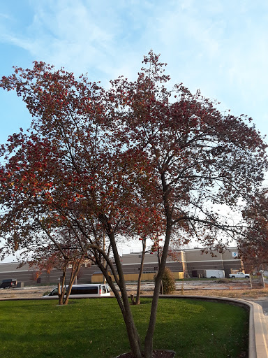 Performing Arts Theater «Honeywell Center», reviews and photos, 275 W Market St, Wabash, IN 46992, USA