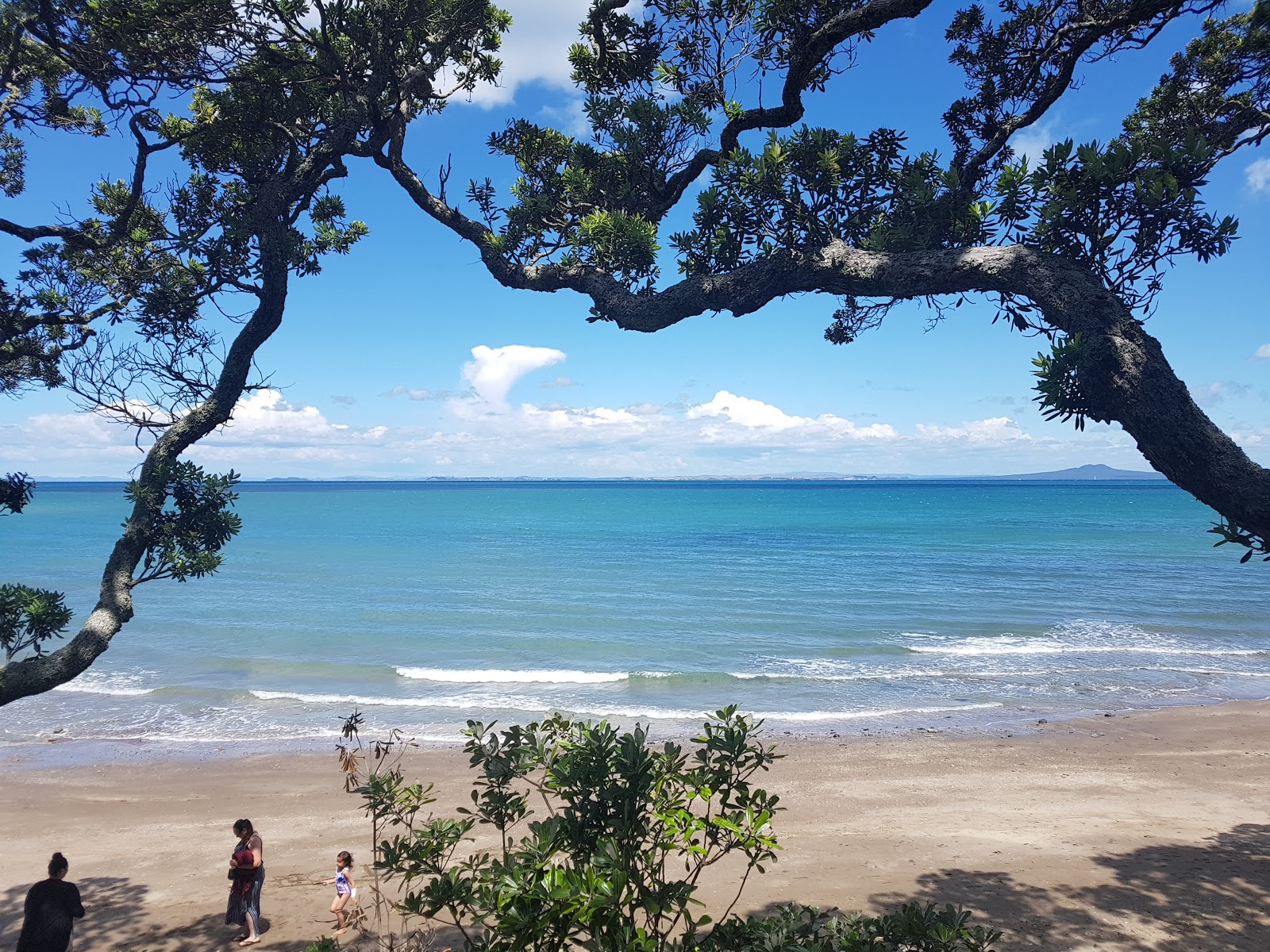 Little Manly Beach的照片 带有碧绿色水表面