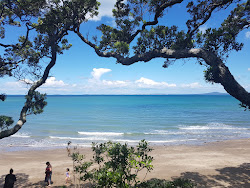 Photo de Little Manly Beach avec baie spacieuse