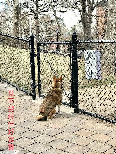 Park «Doughboy Park», reviews and photos, Woodside Ave, Woodside, NY 11377, USA