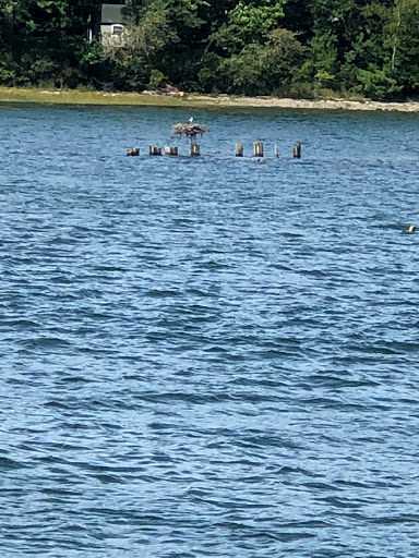 Tour Agency «Portland Discovery Land and Sea Tours», reviews and photos, 170 Commercial St, Portland, ME 04101, USA