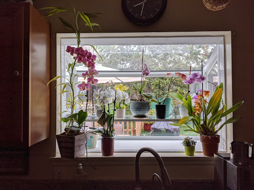 Rigos Windows & Patio Doors image