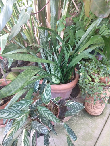 Museum «Deepwood Museum & Gardens», reviews and photos, 1116 Mission St SE, Salem, OR 97302, USA