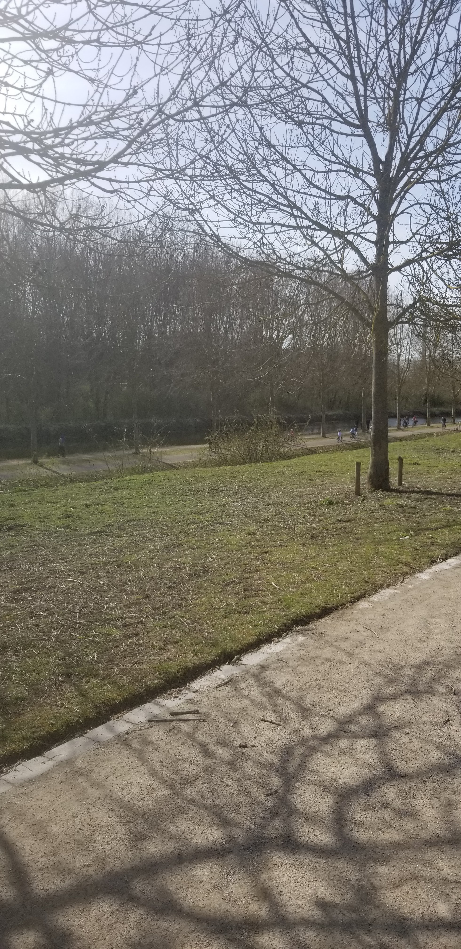 Photo n° 5 de l'avis de Helene.e fait le 29/03/2021 à 15:00