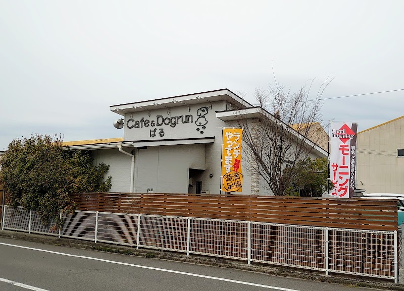 ぱるカフェ ドッグラン 愛媛県松山市 ドッグカフェ グルコミ