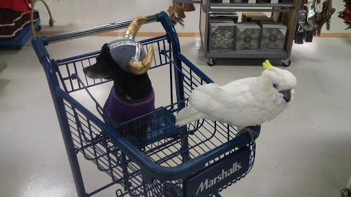 Department Store «Marshalls», reviews and photos, 3975 Cascades Blvd, Kent, OH 44240, USA