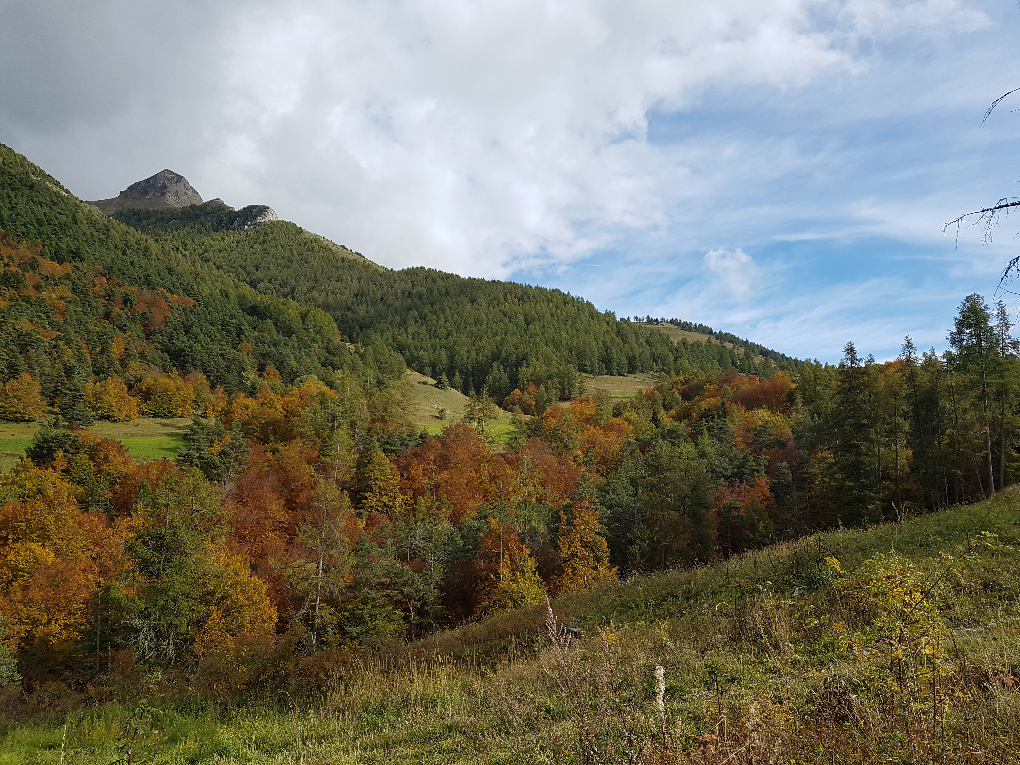 Photo n° 2 de l'avis de Siegfried.c fait le 14/10/2018 à 18:23