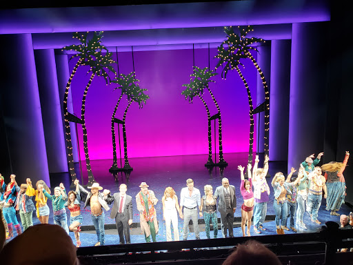 Performing Arts Theater «Nederlander Theatre», reviews and photos, 208 W 41st St, New York, NY 10036, USA