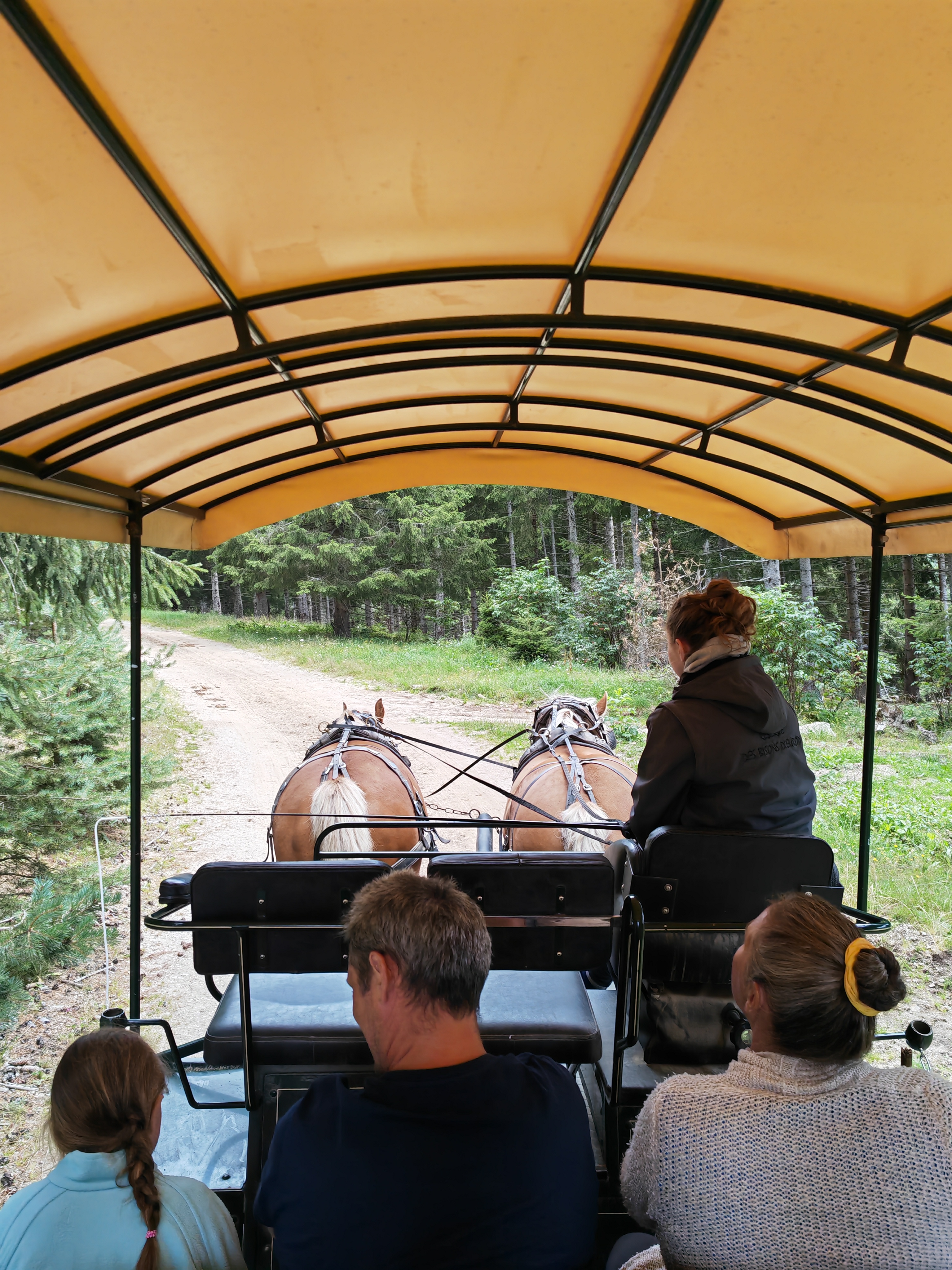 Photo n° 6 de l'avis de Isabelle.a fait le 06/08/2023 à 12:14
