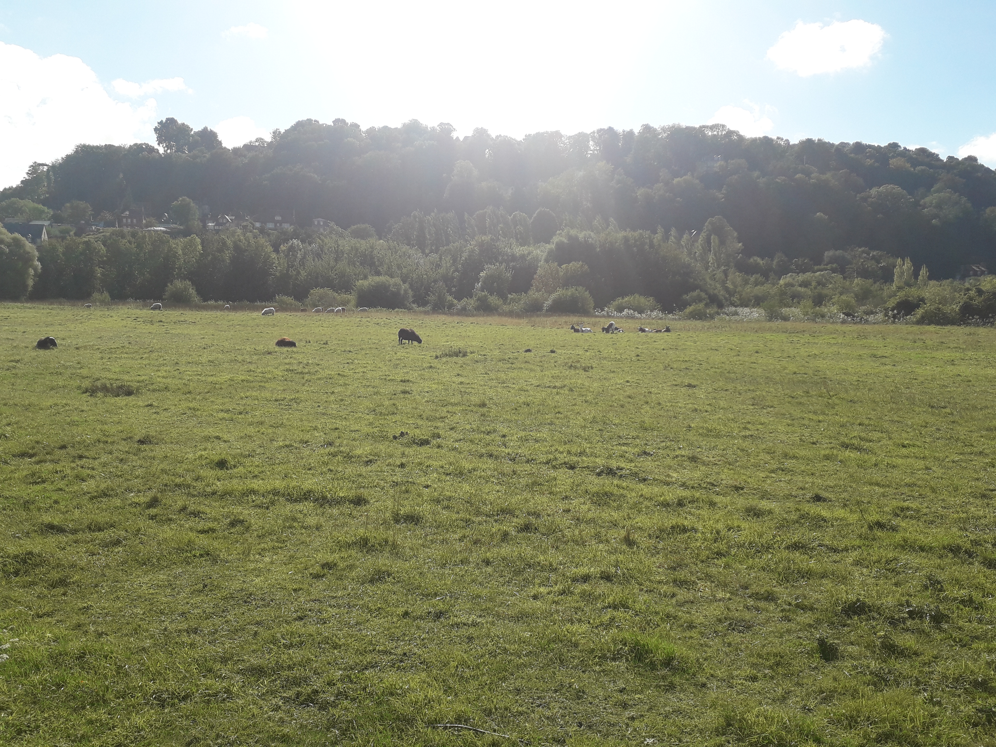 Photo n° 11 de l'avis de Socecha.4 fait le 06/10/2021 à 13:41
