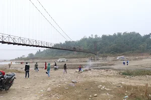 Hanging Bridge image