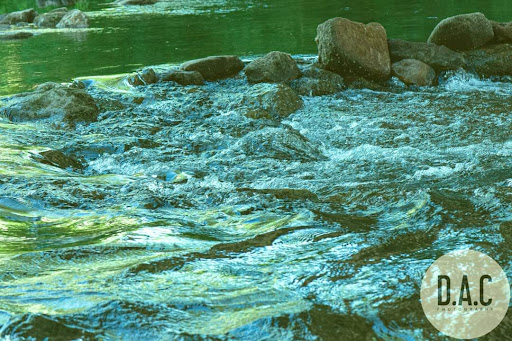 Nature Preserve «Canawaugus Park», reviews and photos, Rochester St, Scottsville, NY 14546, USA