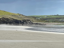 Moloney's Beach'in fotoğrafı vahşi alan