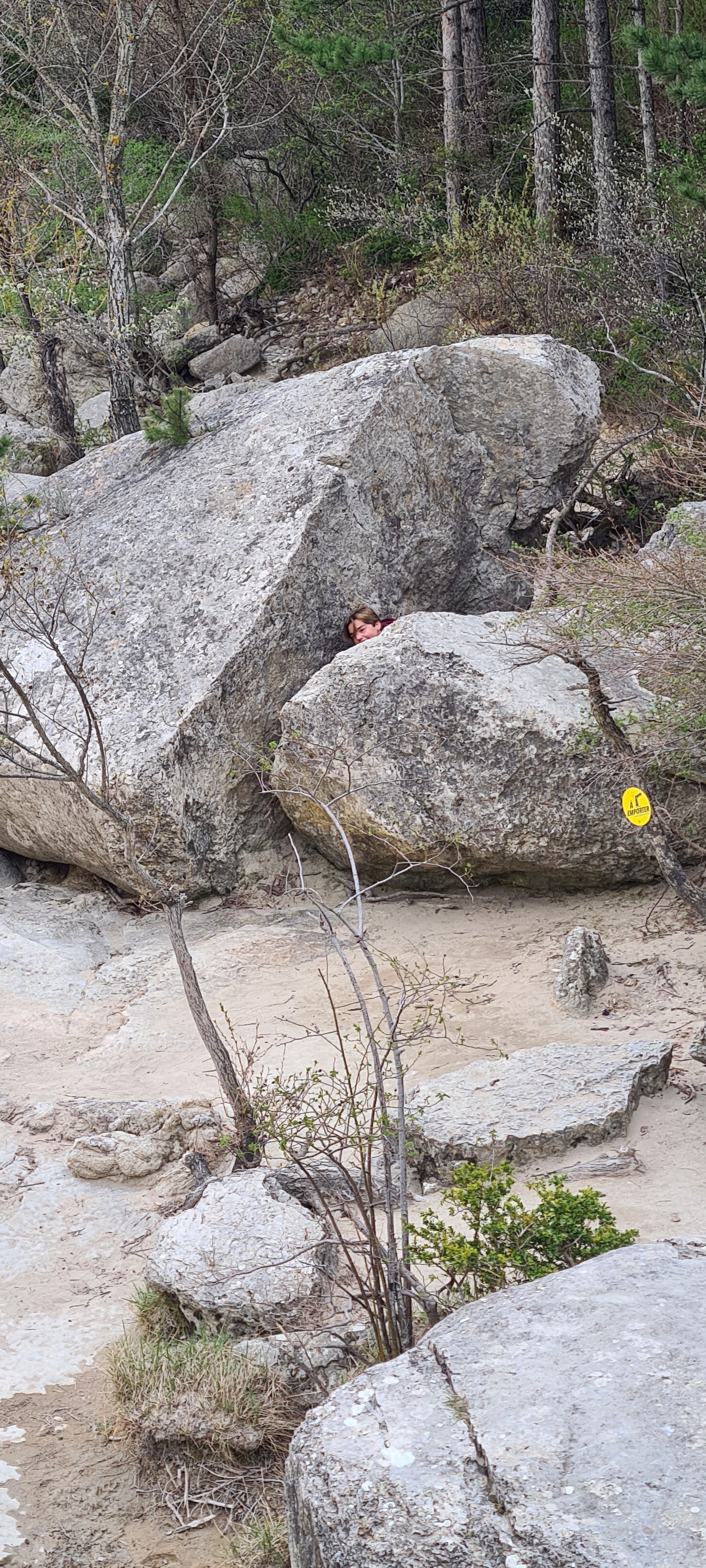 Photo n° 4 de l'avis de Annick.e fait le 22/02/2018 à 18:02