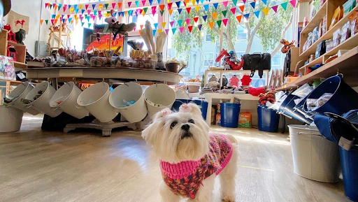 Pet Supply Store «Cole Valley Pets», reviews and photos, 910 Cole St, San Francisco, CA 94117, USA