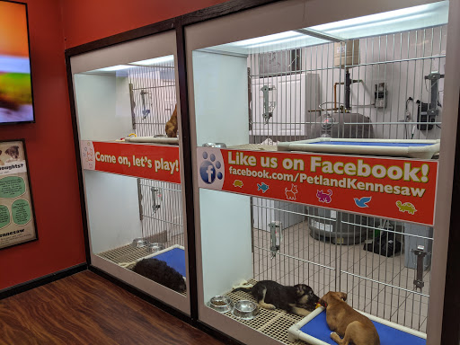 Pet Store «Petland Kennesaw», reviews and photos, 840 Ernest W Barrett Pkwy NW #494, Kennesaw, GA 30144, USA