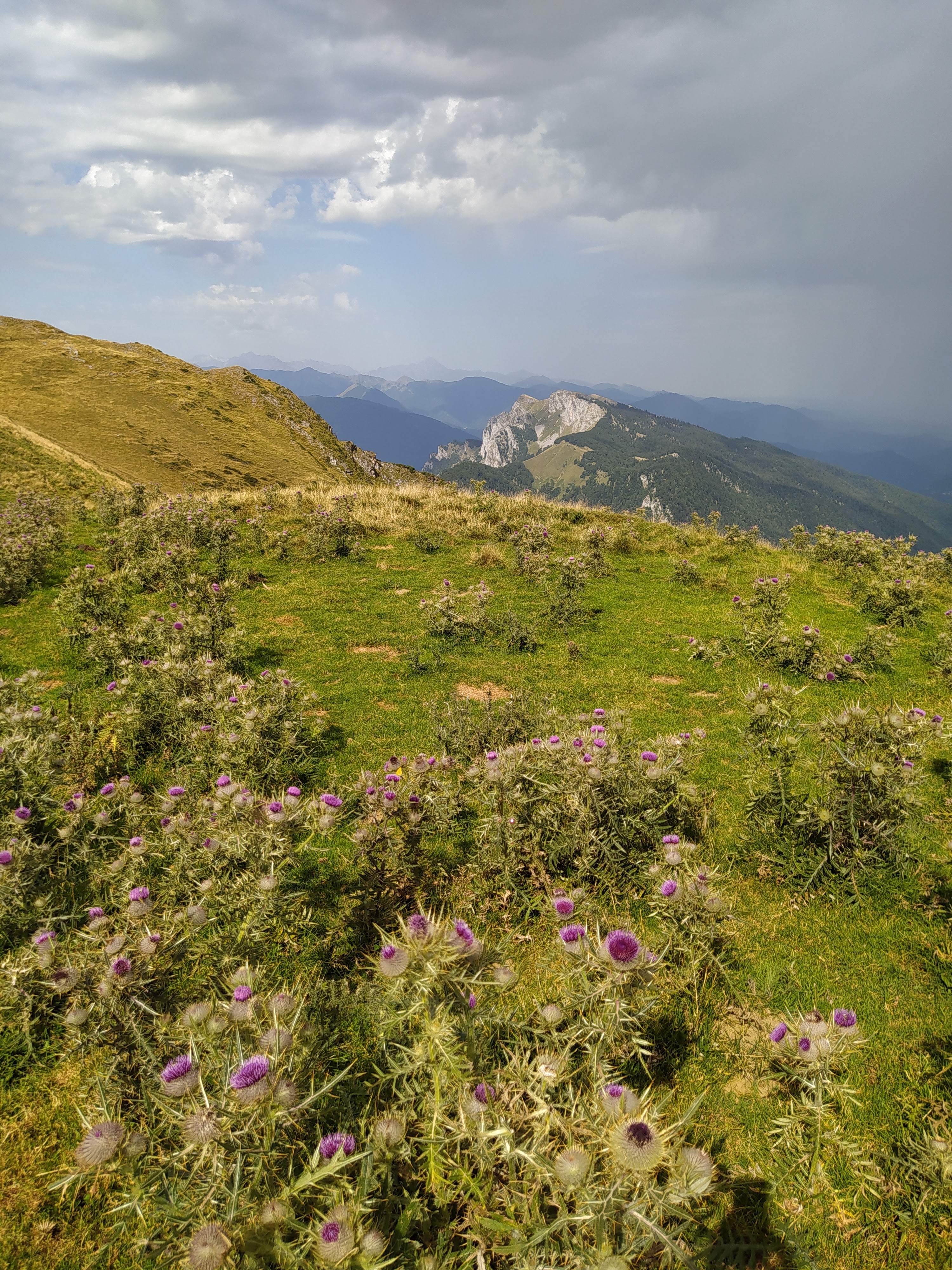 Photo n° 1 de l'avis de Anne-marie.a fait le 17/08/2020 à 17:07