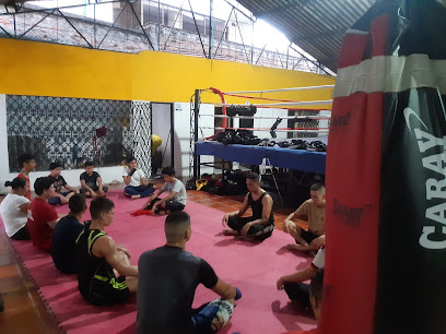 Kick Boxing League Vallecaucana - None