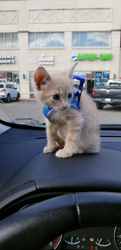 Pet Supply Store «Pet Supplies Plus», reviews and photos, 1170 Walton Blvd, Rochester Hills, MI 48307, USA