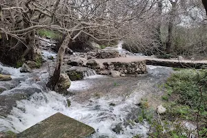 Nacimiento del Río Cerezo image