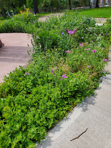 Park «Van Cleve Park Rink», reviews and photos, 901 15th Ave SE, Minneapolis, MN 55414, USA