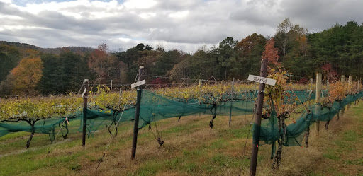 Winery «Sharp Mountain Vineyards», reviews and photos, 110 Rathgeb Trail, Jasper, GA 30143, USA
