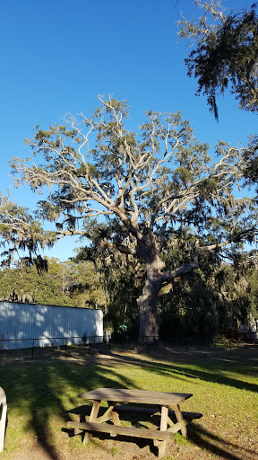 Park «Southside Park», reviews and photos, Southside Park Loop, Beaufort, SC 29902, USA