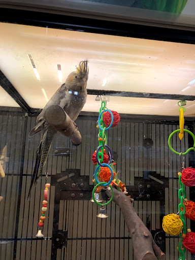 Pet Supply Store «PetSmart», reviews and photos, 139 Radio Dr, Stroudsburg, PA 18360, USA