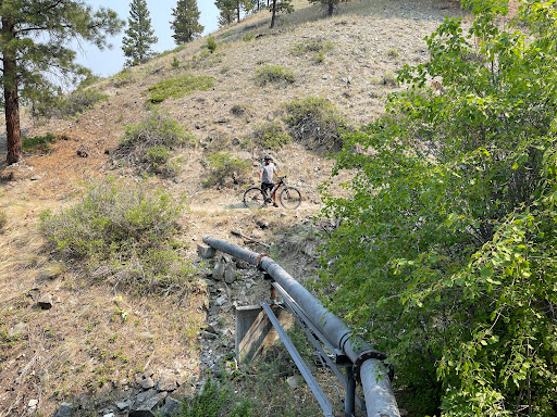 Bicycle Store «Big Sky Cycling & Fitness», reviews and photos, 801 N Last Chance Gulch, Helena, MT 59601, USA