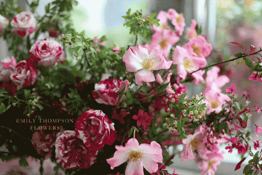 Florist «Emily Thompson Flowers», reviews and photos, 142 Beekman St, New York, NY 10038, USA