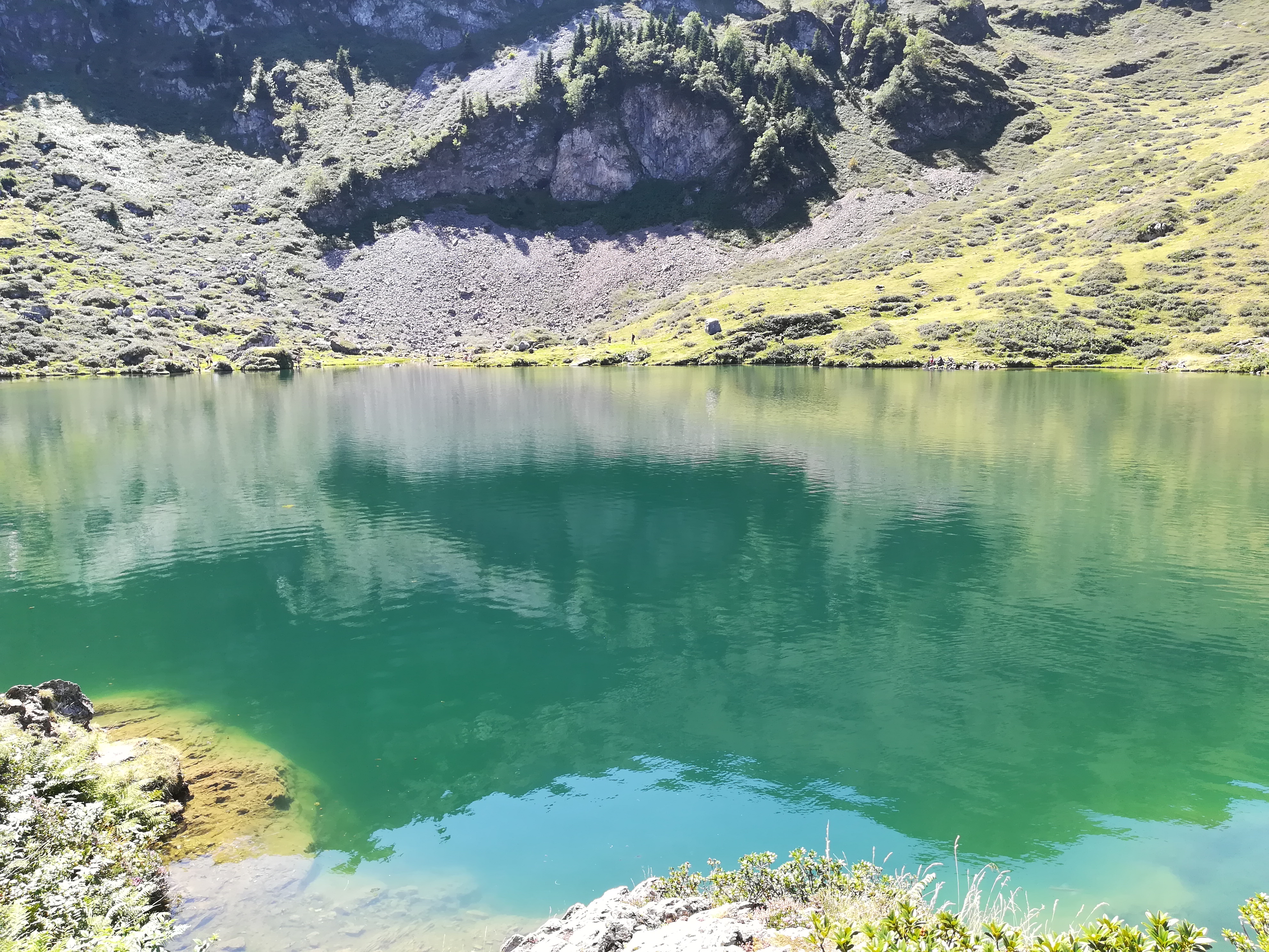 Photo n° 2 de l'avis de Swanna.A fait le 29/08/2019 à 16:12