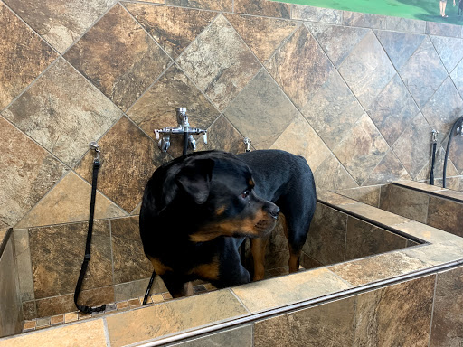 Pet Supply Store «Pet Valu», reviews and photos, 411 Valley Brook Ave, Lyndhurst, NJ 07071, USA