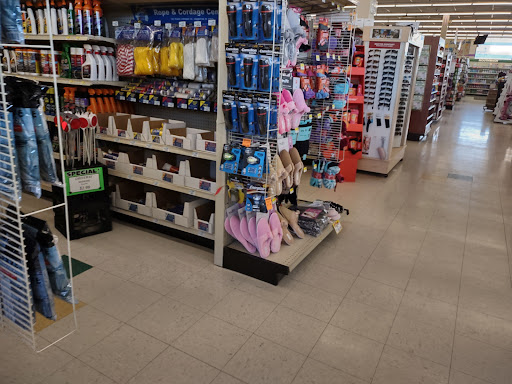 Pharmacy «Discount Drug Mart», reviews and photos, 1005 High St, Wadsworth, OH 44281, USA