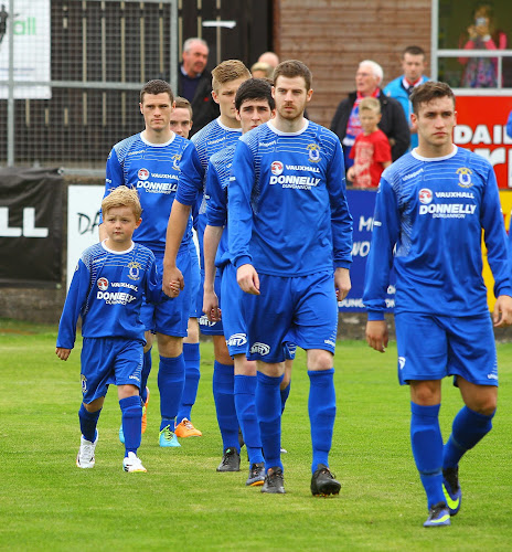Dungannon Swifts Football Club - Dungannon