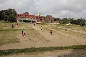 Gulmohar Citizens Park image