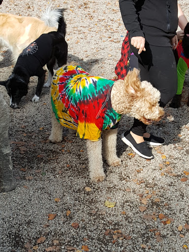 Dog Park «South Boston Bark Park», reviews and photos, 1280 Columbia Rd, Boston, MA 02127, USA