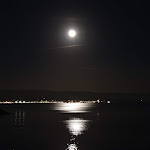 Photo n°11 de l'avis de ANNE. fait le 30/06/2021 à 01:30 sur le  Hotel Punta Negra l'Alguer/Alghero à Alghero