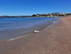 St.Cristina Beach'in fotoğrafı - rahatlamayı sevenler arasında popüler bir yer