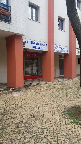 Avaliações doClínica Veterinária do Lambert - Pet-Vet em Lisboa - Veterinário