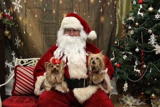 Pet Supply Store «The Hungry Puppy», reviews and photos, 1288 NJ-33, Farmingdale, NJ 07727, USA