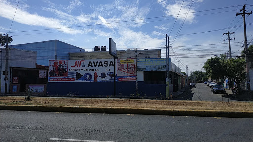 Avasa Group