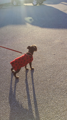 Bakery «Spring Garden Bakery & Coffee», reviews and photos, 1932 Spring Garden St, Greensboro, NC 27403, USA