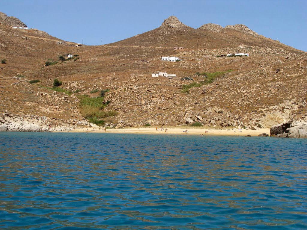 Kalo Ampeli photo #8