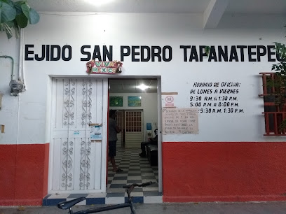 EJIDO SAN PEDRO TAPANATEPEC