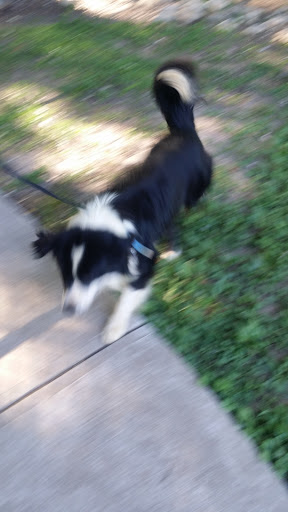 Park «Clark Community Park», reviews and photos, 111 Davis Rd, Stockbridge, GA 30281, USA