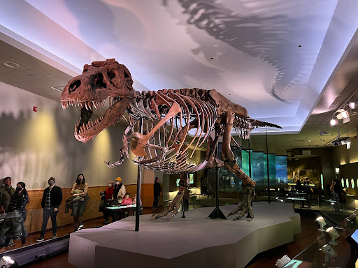 Museum «The Field Museum», reviews and photos, 1400 S Lake Shore Dr, Chicago, IL 60605, USA