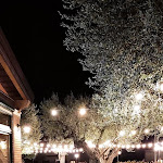 Photo n°1 de l'avis de Filippo.a fait le 03/10/2020 à 23:12 sur le  Agriturismo De Bortoli à Zovon