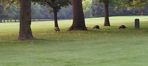 Public Golf Course «Currie Park Golf Course», reviews and photos, 3535 N Mayfair Rd, Wauwatosa, WI 53222, USA