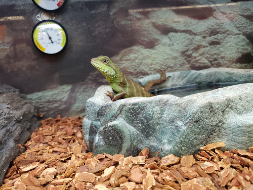 Pet Supply Store «Petco Animal Supplies», reviews and photos, 6200 S Dixie Hwy, South Miami, FL 33143, USA